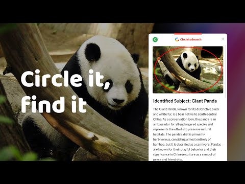 Circle to Search