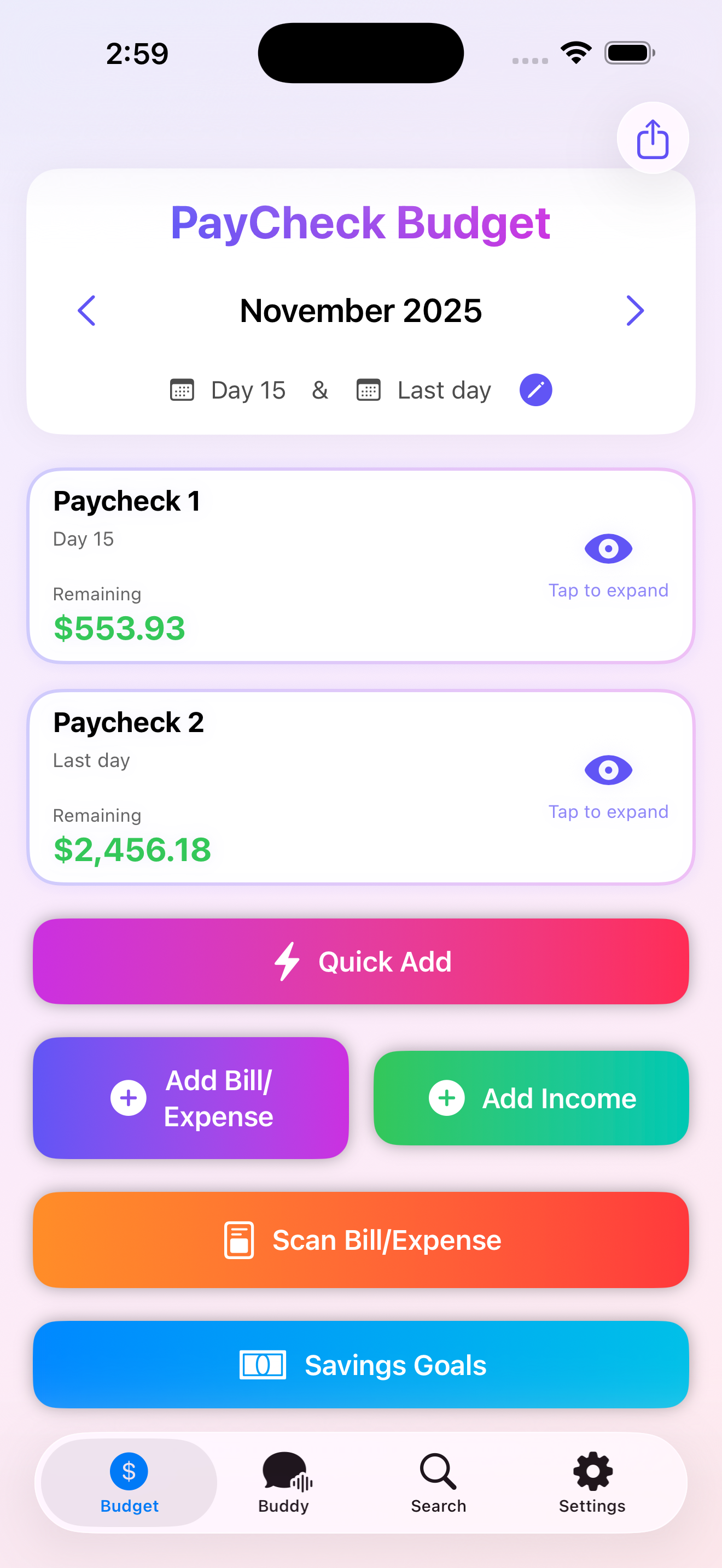 PayCheck Budget gallery image