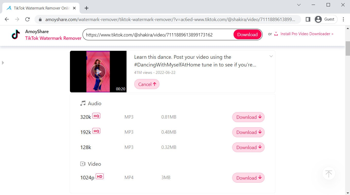 Tiktok Watermark Remover ออนไลน์ฟรี media 2