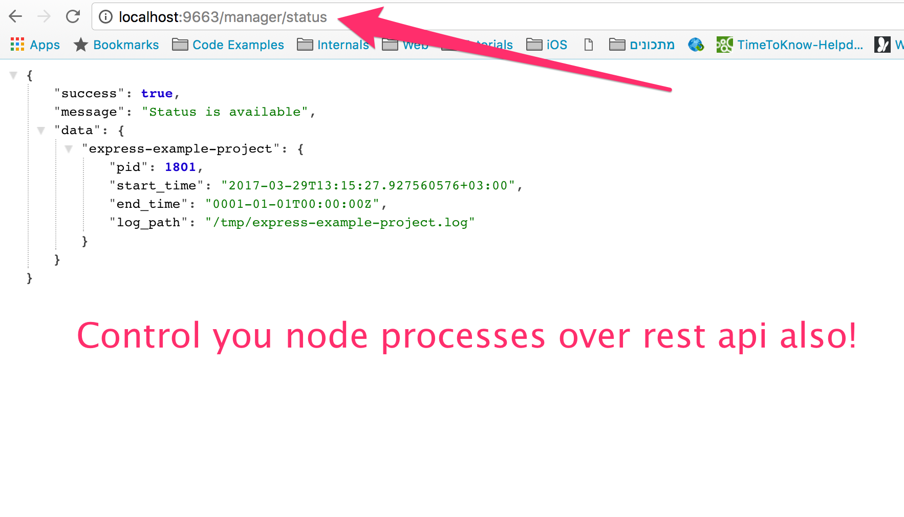 BPM - Process Manager For NodeJS In Production gallery image