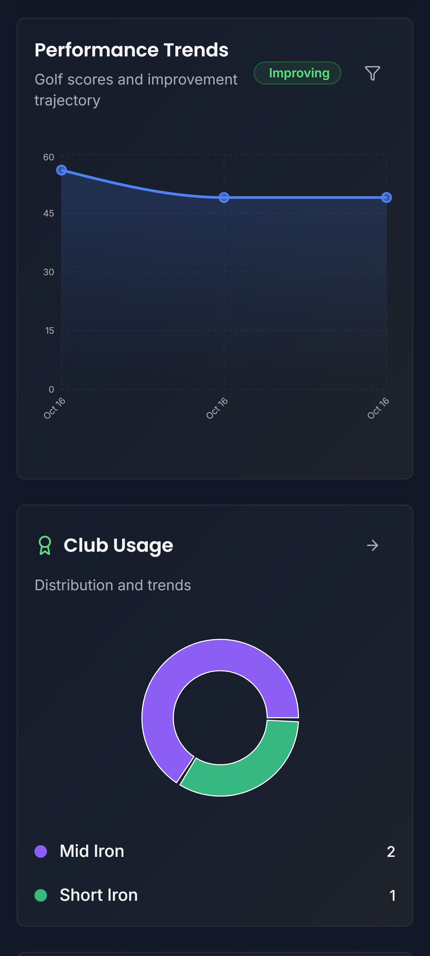 SwingSight gallery image