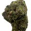 Runtz Muffin (Hybrid/Indica)