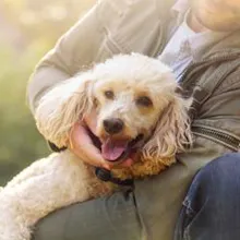 Emotional Support Animals Impact gallery image