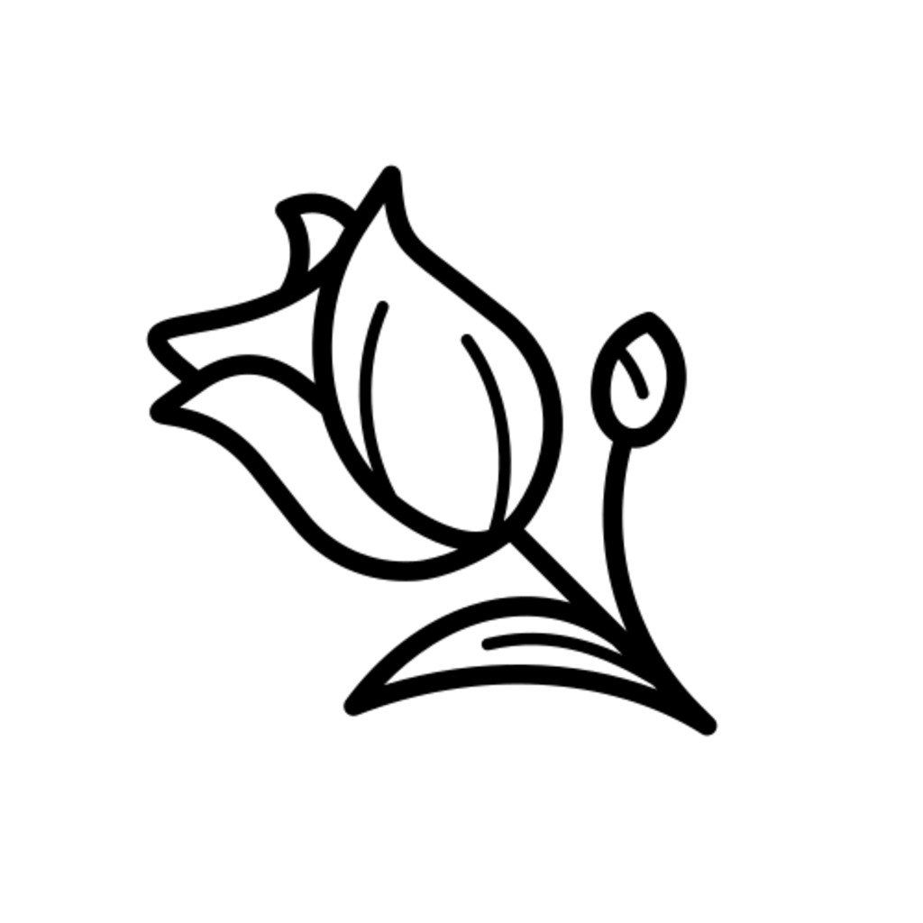 Lupyd - Product Hunt launch logo and brand identity