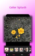 Photo Editor Free - Photo Collage gallery image