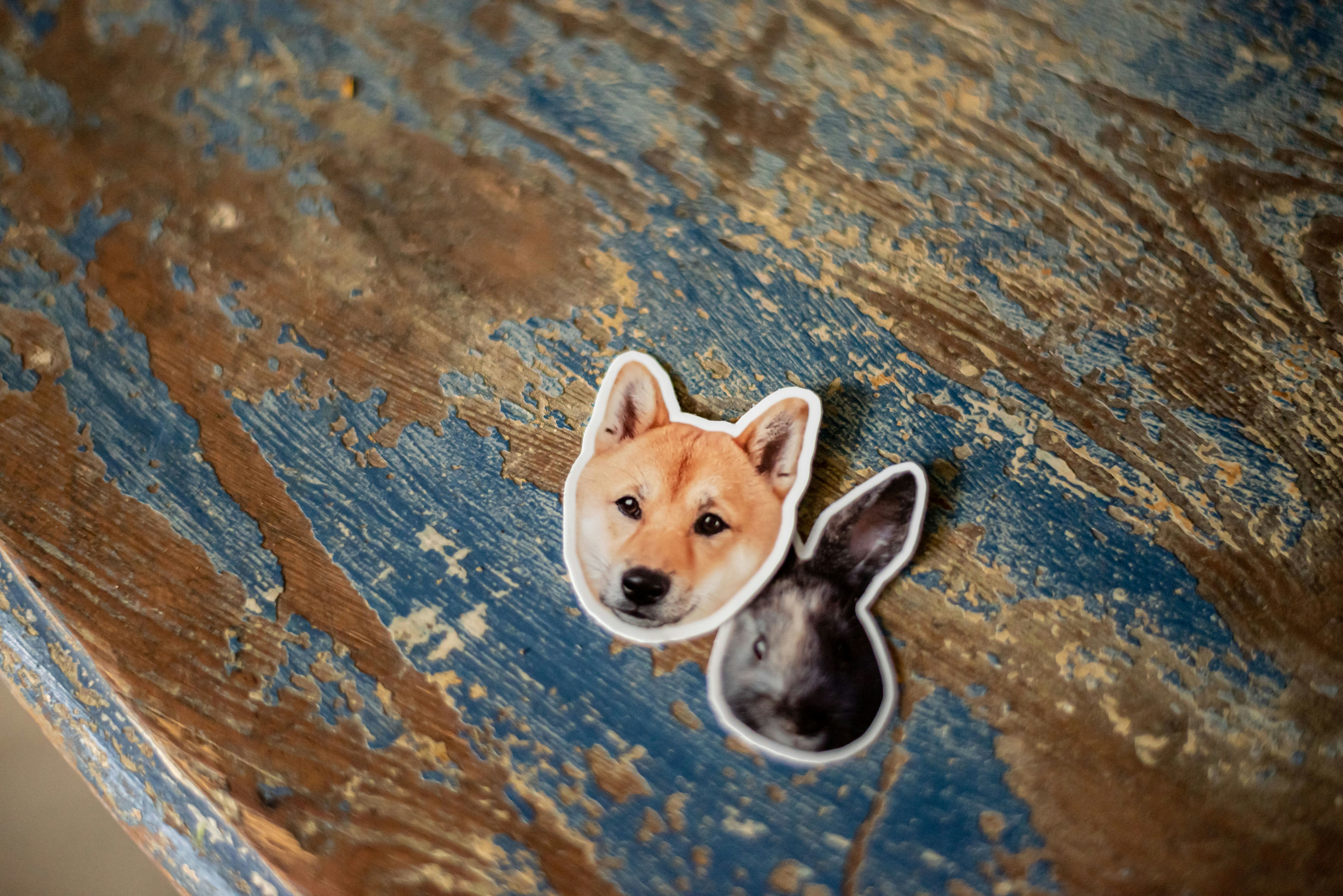 Sticker Pet gallery image