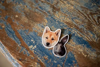 Sticker Pet gallery image