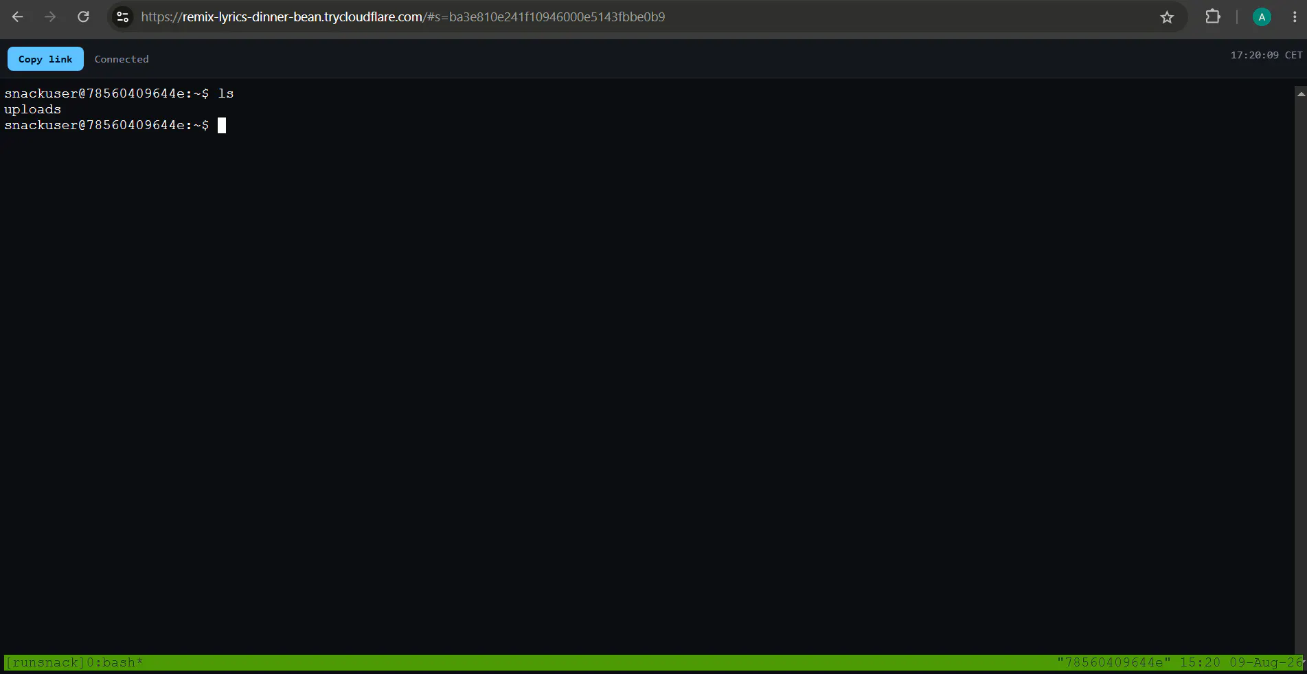 RunSnack — Your GPU. One link. The world gallery image