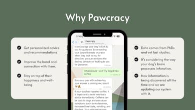 Pawcracy gallery image
