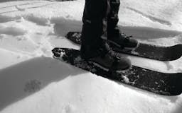 Drift Boards: Snowshoe for Snowboarders & Backcountry Travel media 2