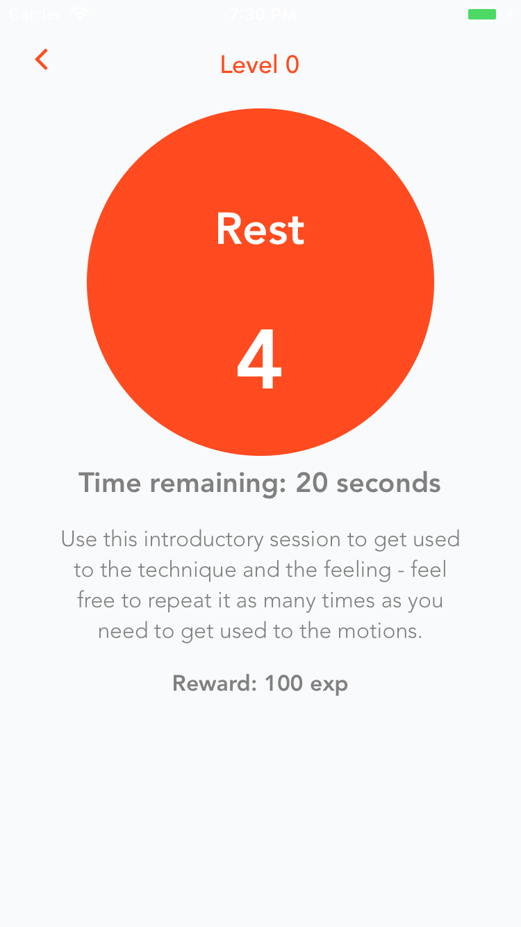 Seagull Trainer gallery image