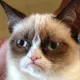 Slack Meme Bot