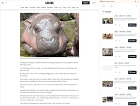 Manic with Image prompter gallery image