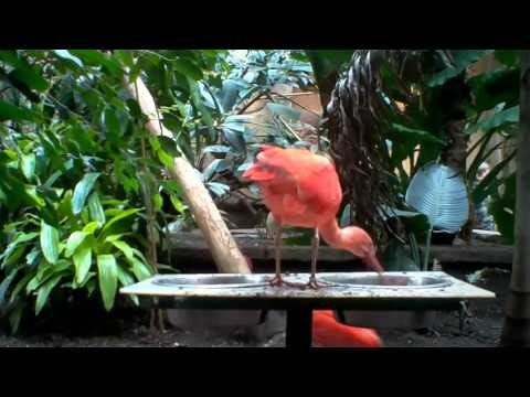 ZEITDICE gallery image