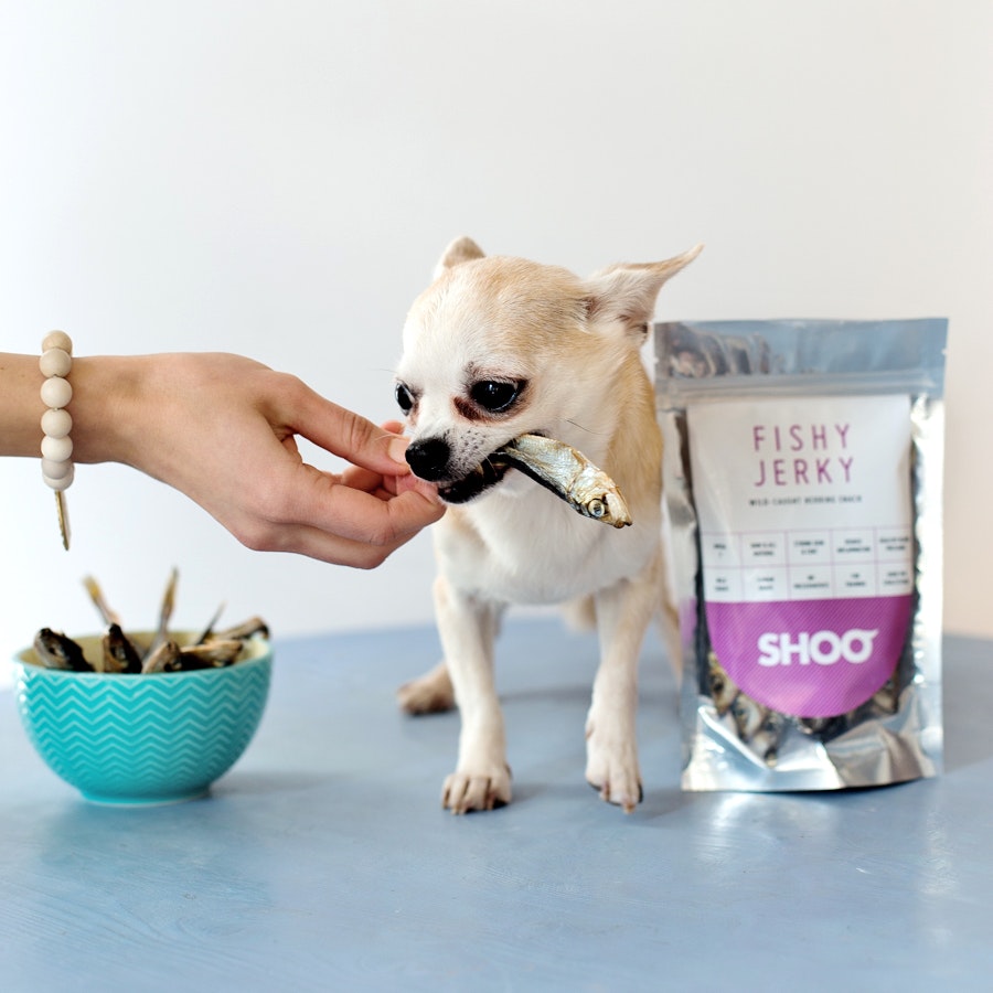 FISHY JERKY gallery image