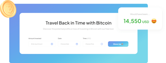 Bitcoin ROI Calculator gallery image