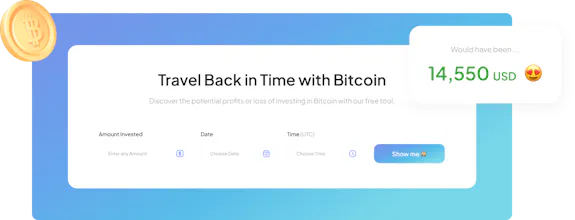 Bitcoin ROI Calculator gallery image