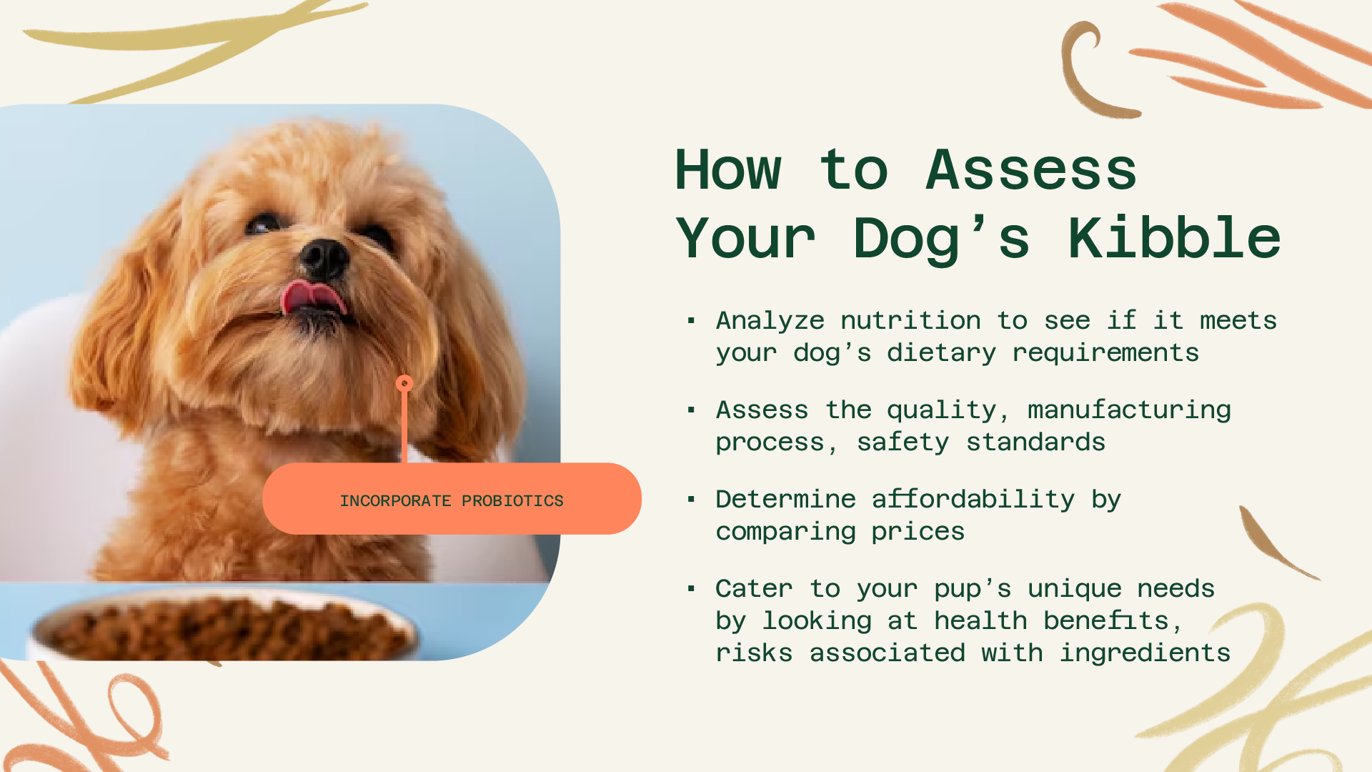 Relatório de comida para cães grátis para Everfur media 1