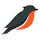 FieldRobin