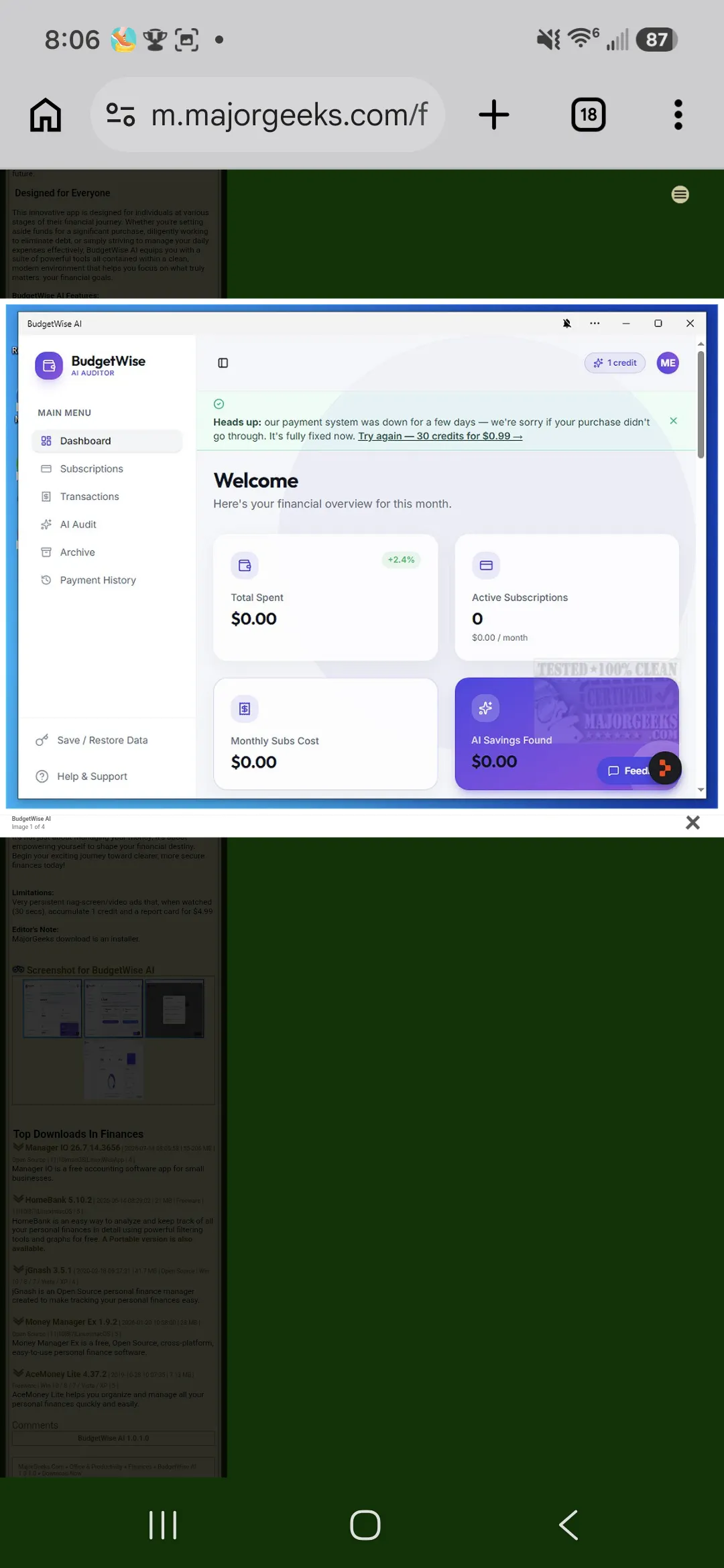 BudgetWise AI gallery image