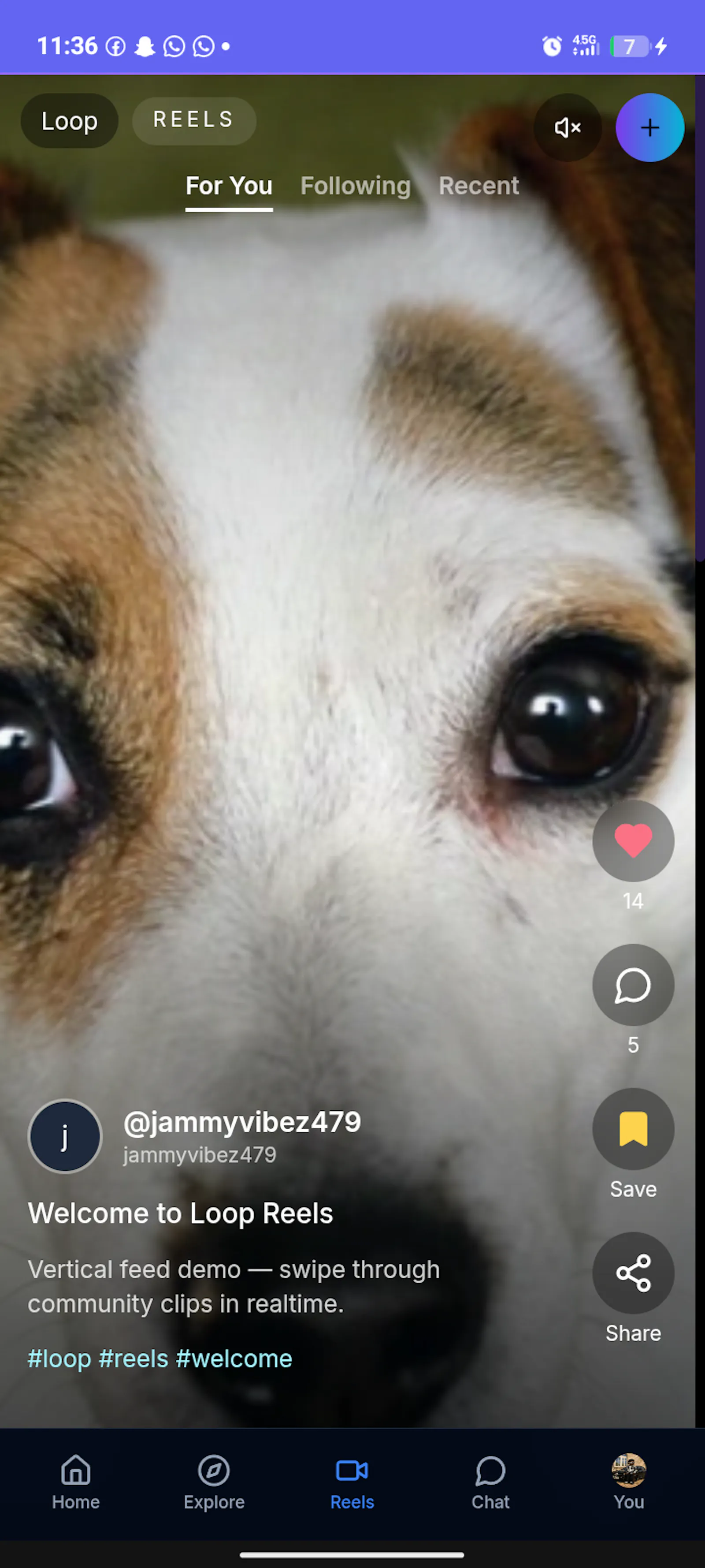 Loop screenshot 3