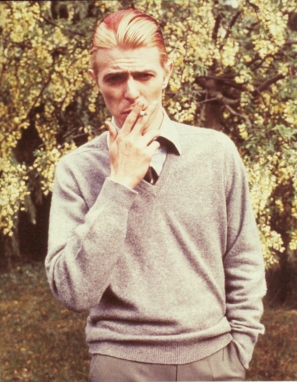 David Bowie Style gallery image