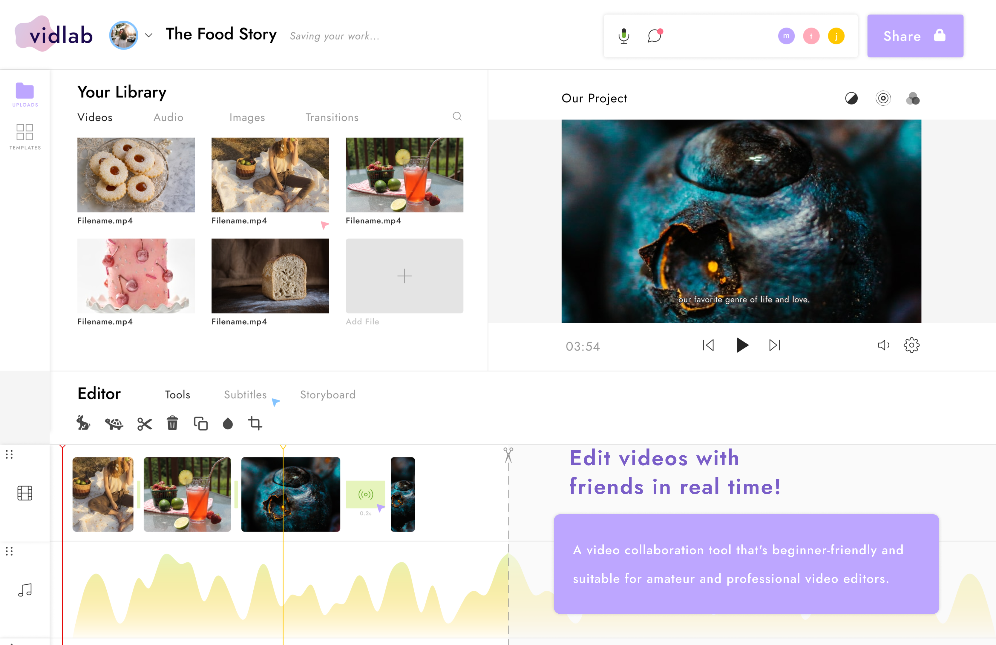 vidlab gallery image