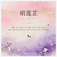 Chinese Name Generator gallery image