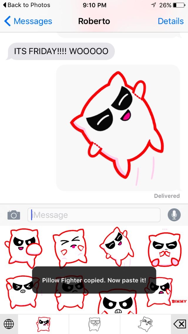 The Pillow Fighters gallery image