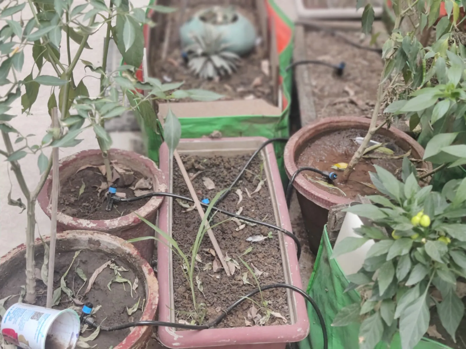 Robonuts Smart Irrigation Controller gallery image