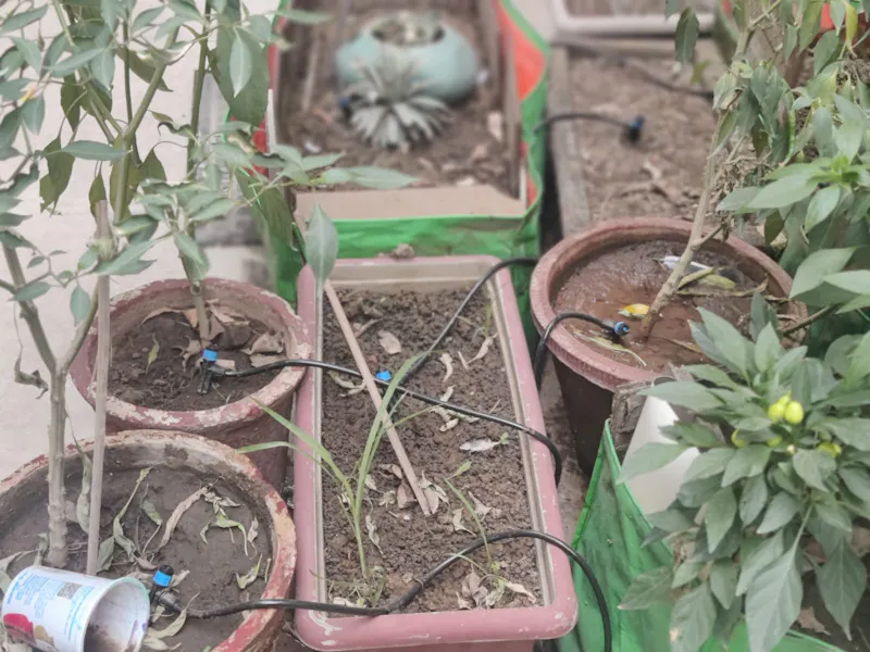 Robonuts Smart Irrigation Controller screenshot 5