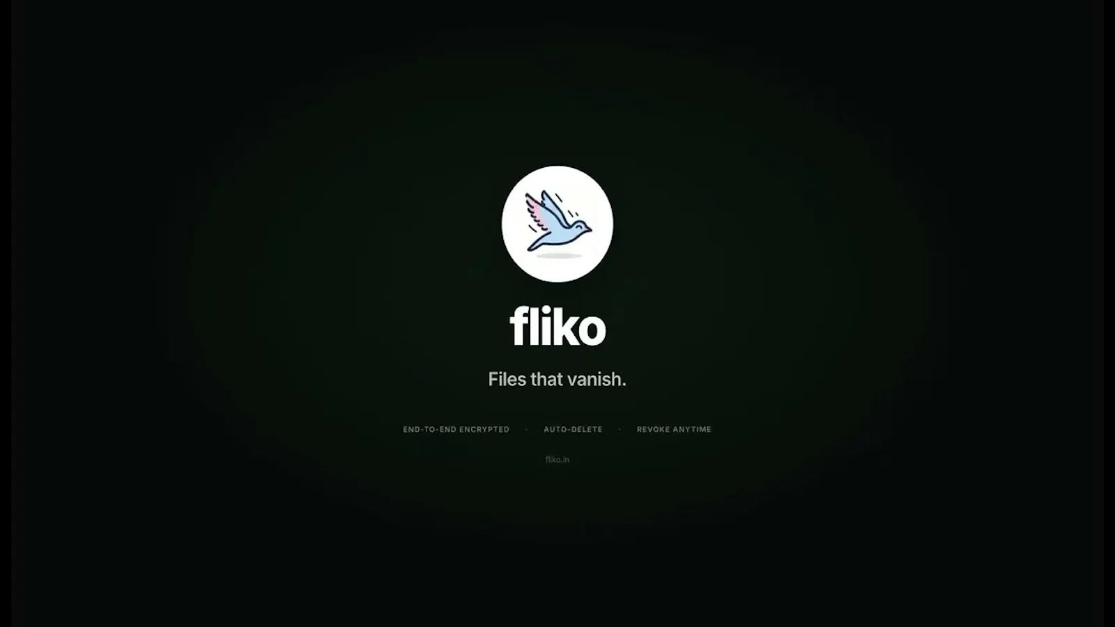 Fliko screenshot 1 (video preview)
