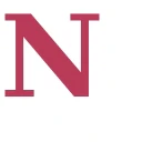 NameRoot logo