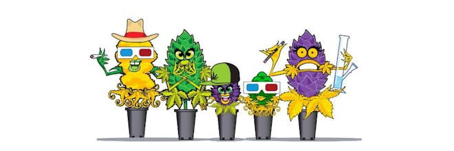 CryptoChronic gallery image