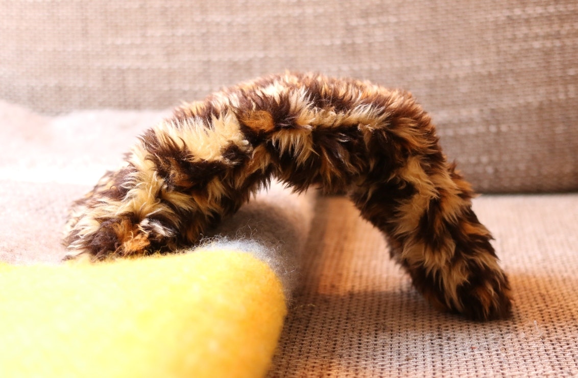 flatcat gallery image