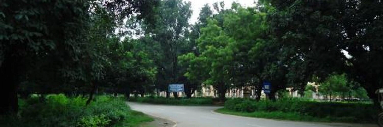 Gaurav Agrawal cover