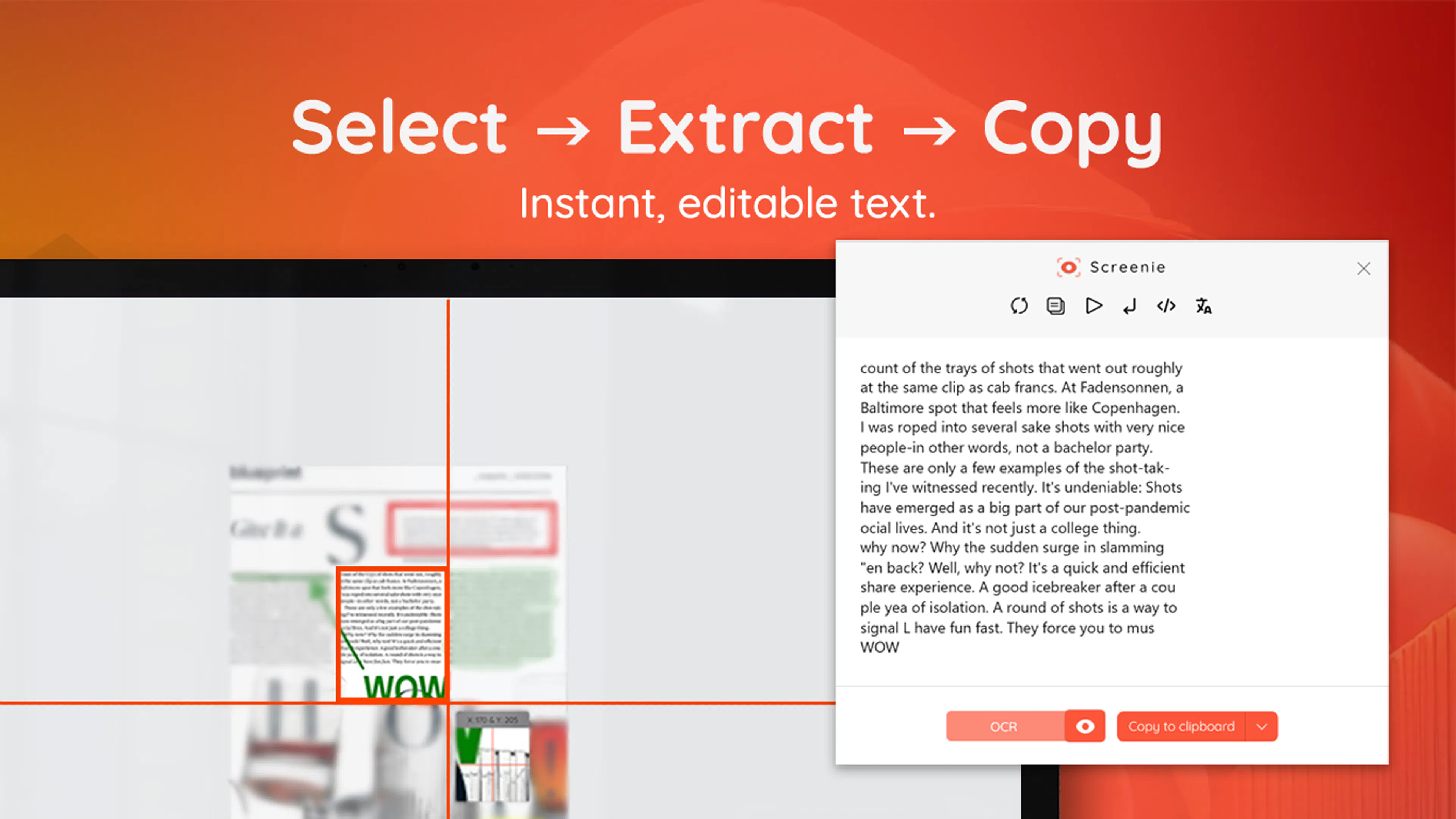 Screenie - handy Screenshot OCR tool gallery image