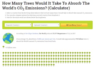How Many Trees? gallery image