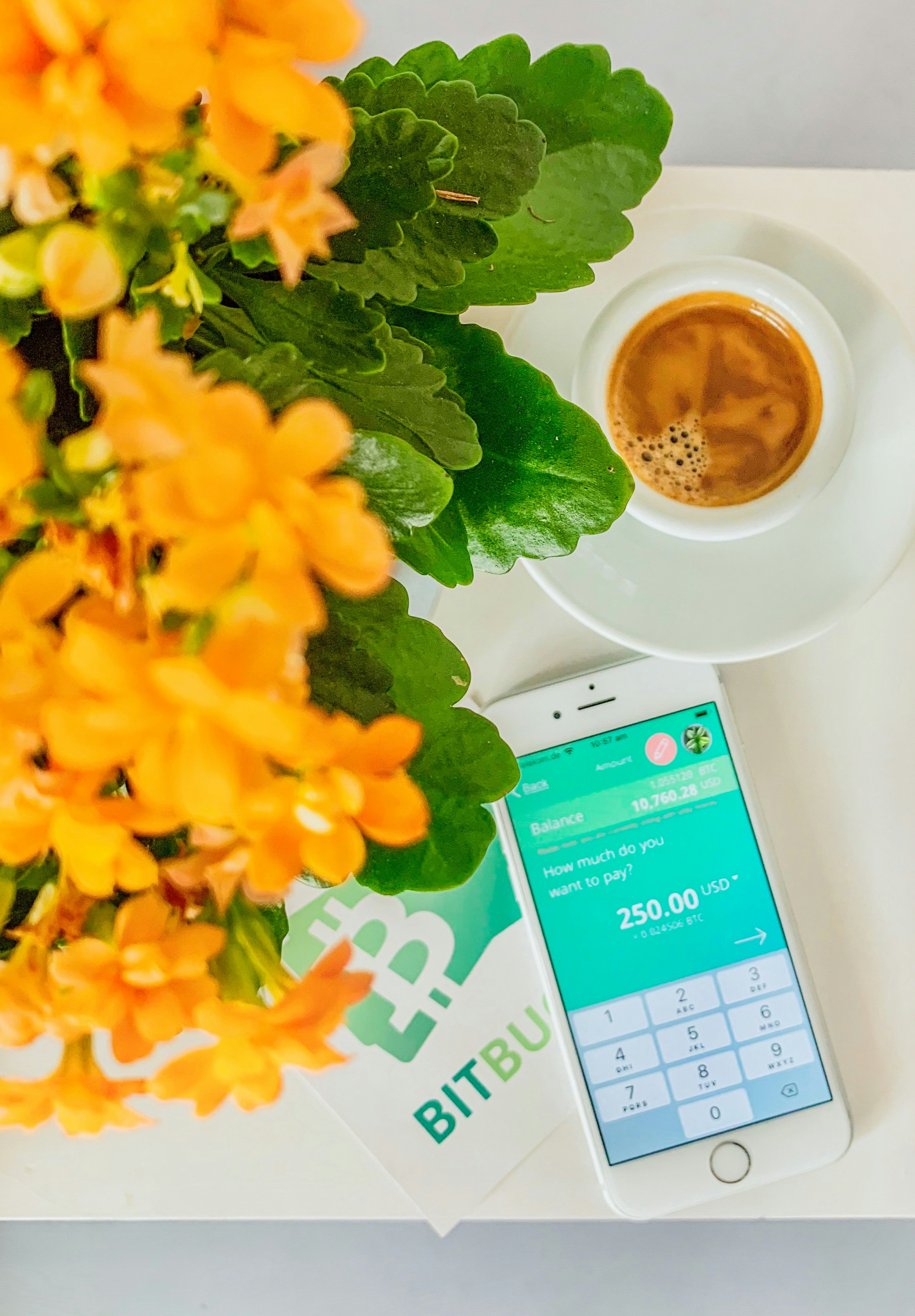 BitBucks Wallet gallery image