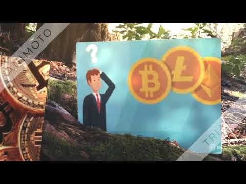 Bitcoin Revival Pro? media 1