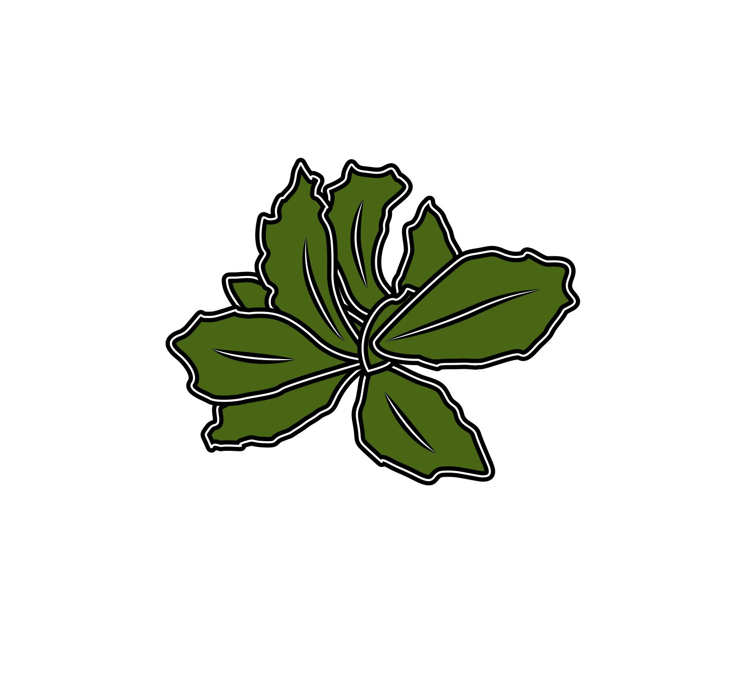 Nuvelio Naturals gallery image