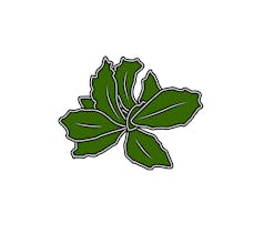 Nuvelio Naturals gallery image