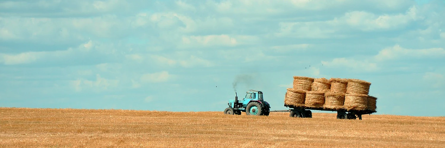 ioanna angelidaki cover