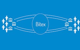 Bitex Concierge media 2