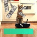 Cash Car Trivia
