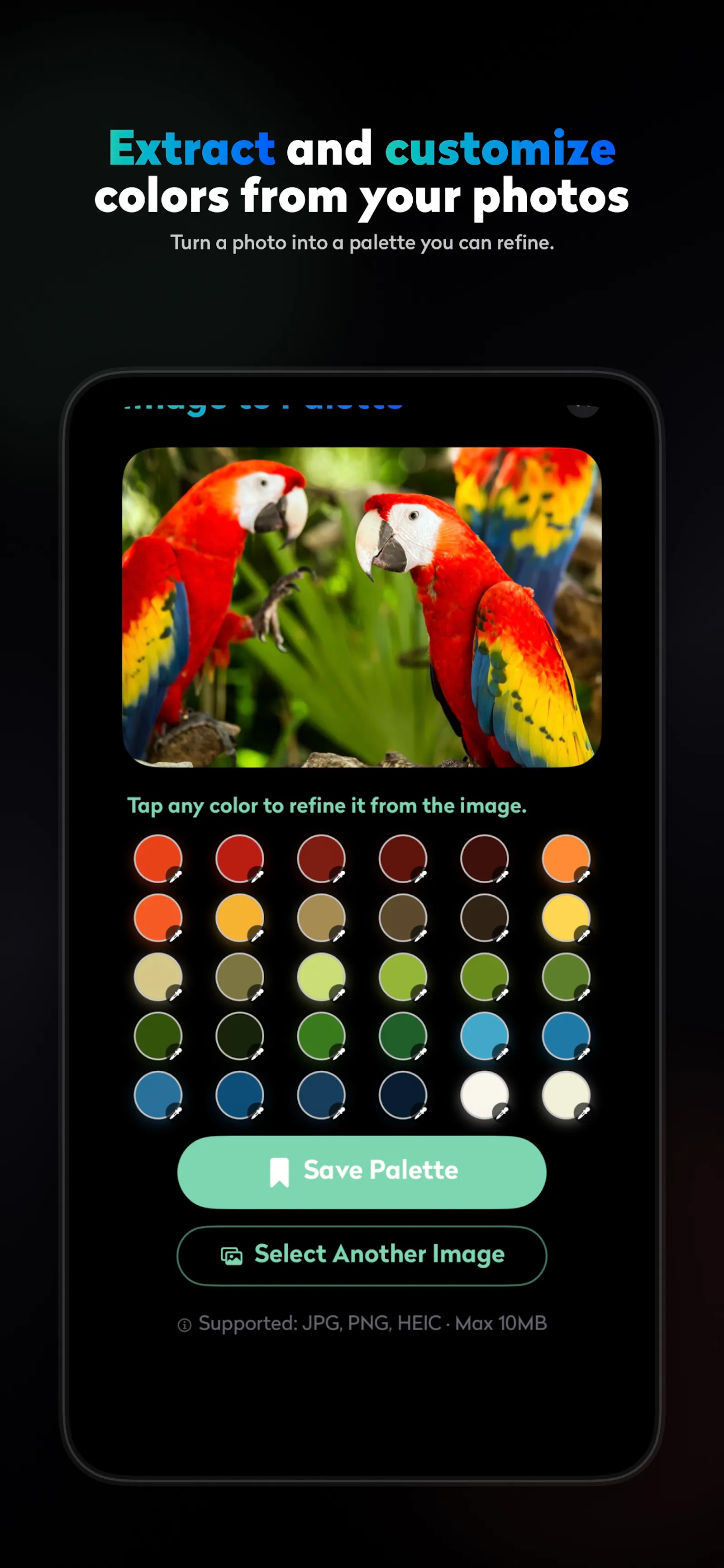 Chroma Color Palette Maker screenshot 6