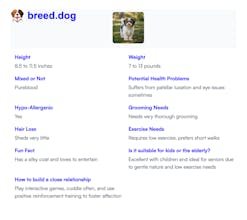 Breed.dog - AI Dog Breed Identifier gallery image