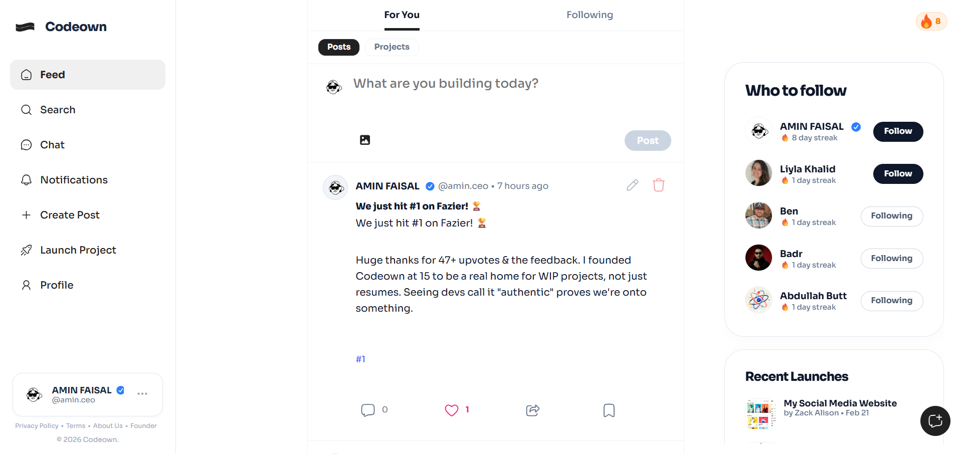 Codeown - Main product screenshot demonstrating key features and user interface
