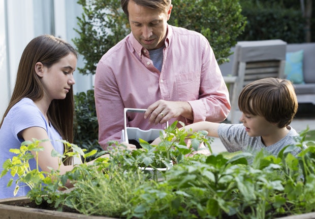 ZERA Food Recycler gallery image