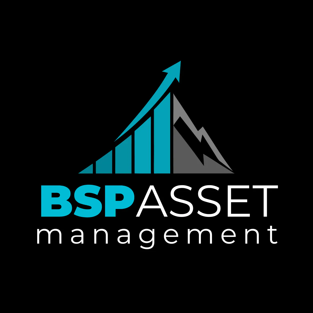 BSPAssetManagement gallery image